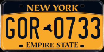 NY license plate GOR0733