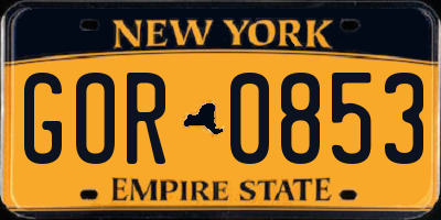 NY license plate GOR0853