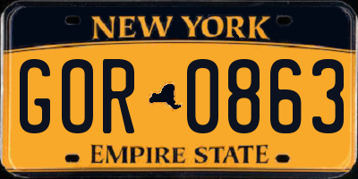 NY license plate GOR0863