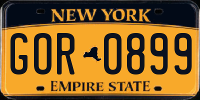 NY license plate GOR0899