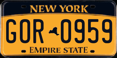 NY license plate GOR0959