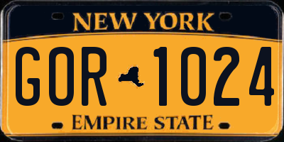 NY license plate GOR1024
