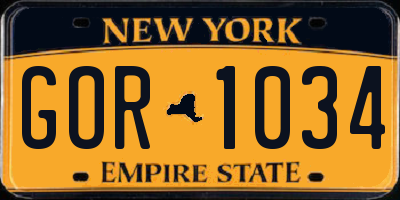 NY license plate GOR1034