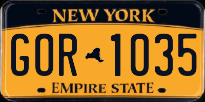 NY license plate GOR1035