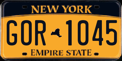NY license plate GOR1045