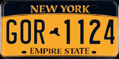 NY license plate GOR1124