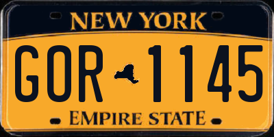 NY license plate GOR1145