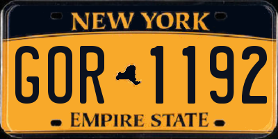 NY license plate GOR1192