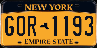 NY license plate GOR1193