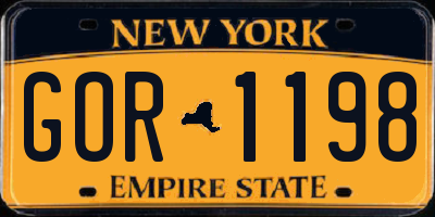 NY license plate GOR1198