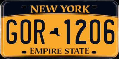 NY license plate GOR1206