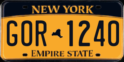 NY license plate GOR1240