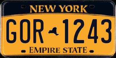 NY license plate GOR1243