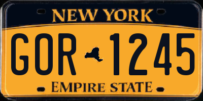 NY license plate GOR1245