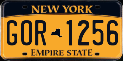 NY license plate GOR1256