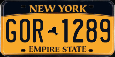 NY license plate GOR1289