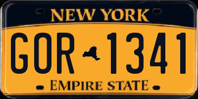 NY license plate GOR1341