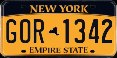 NY license plate GOR1342