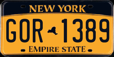 NY license plate GOR1389