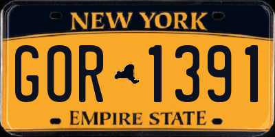 NY license plate GOR1391