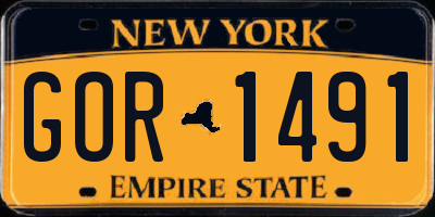 NY license plate GOR1491