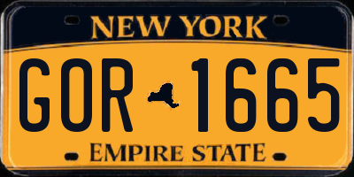 NY license plate GOR1665