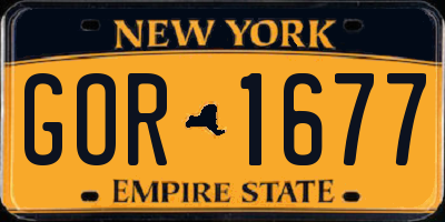 NY license plate GOR1677