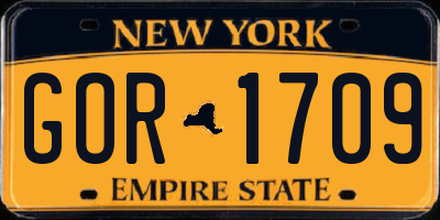 NY license plate GOR1709