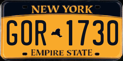 NY license plate GOR1730