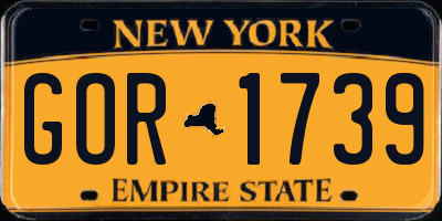 NY license plate GOR1739
