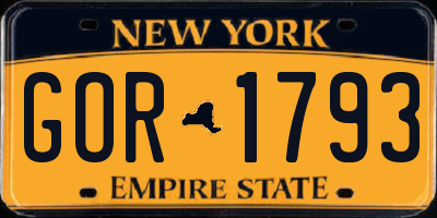 NY license plate GOR1793