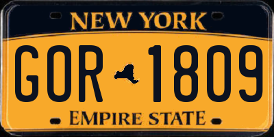 NY license plate GOR1809
