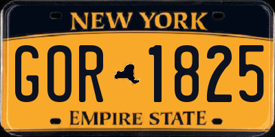 NY license plate GOR1825