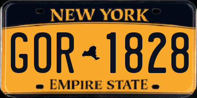 NY license plate GOR1828