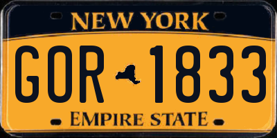 NY license plate GOR1833