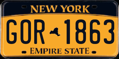 NY license plate GOR1863