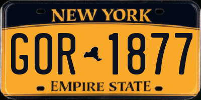 NY license plate GOR1877