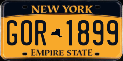 NY license plate GOR1899