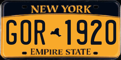 NY license plate GOR1920