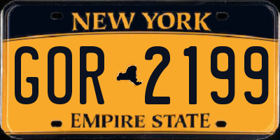 NY license plate GOR2199