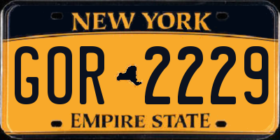 NY license plate GOR2229