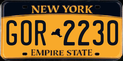 NY license plate GOR2230