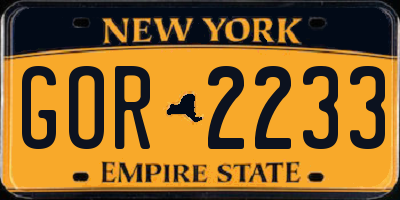 NY license plate GOR2233
