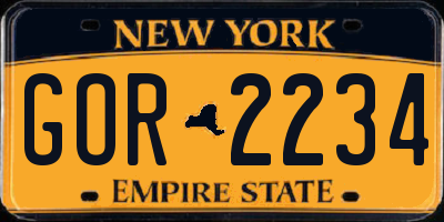 NY license plate GOR2234