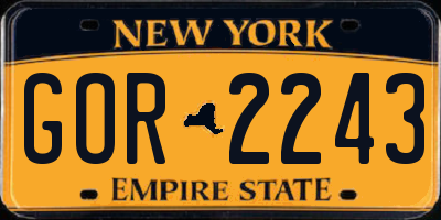 NY license plate GOR2243