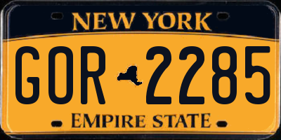 NY license plate GOR2285