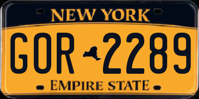 NY license plate GOR2289