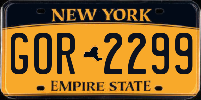 NY license plate GOR2299