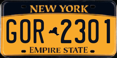 NY license plate GOR2301