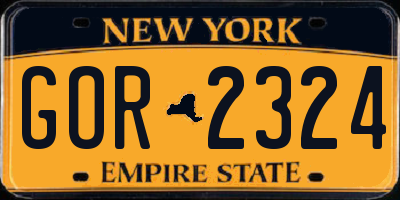 NY license plate GOR2324